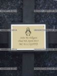 DSC09294, Mc ELLIGOTT.JPG